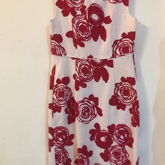 Sleeveless Rose Print A Line Dress by Ann Taylor - Picture 4 of 5